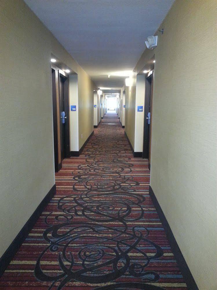 Holiday Inn Express Fredericksburg - Southpoint By Ihg Bagian luar foto